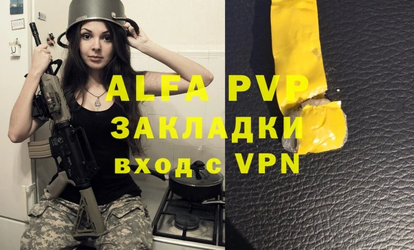 твердый Инта