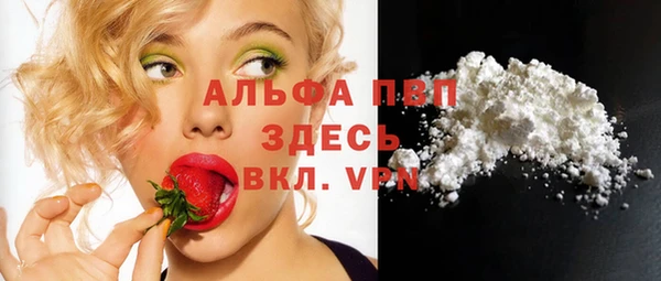 гашик Инсар