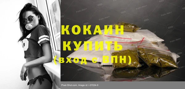 гашик Инсар