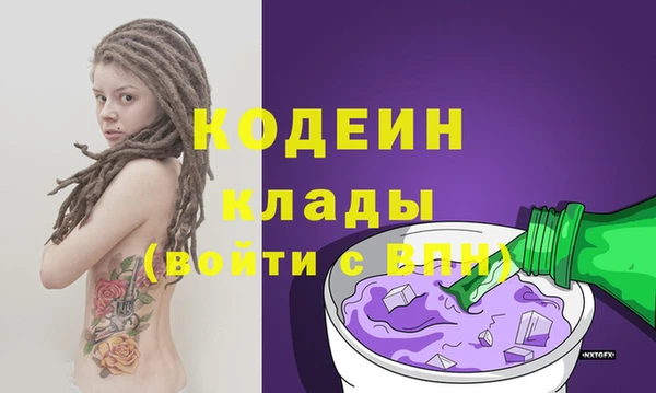 твердый Инта
