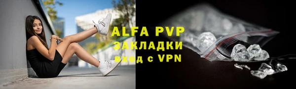 твердый Инта