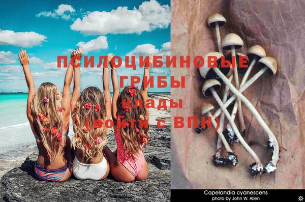 твердый Инта