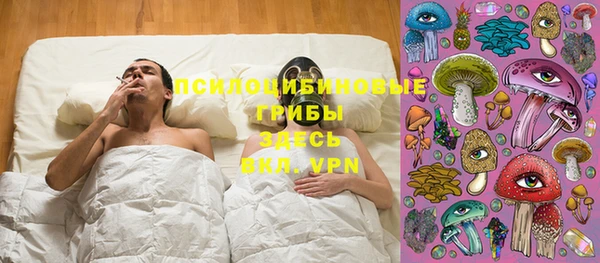твердый Инта