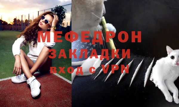 твердый Инта