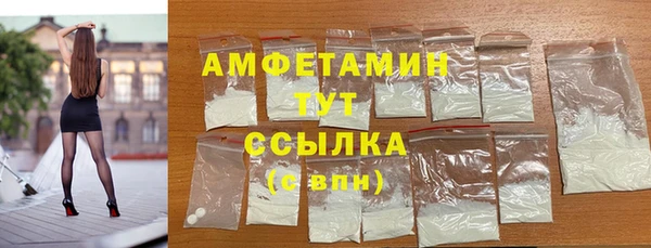 твердый Инта