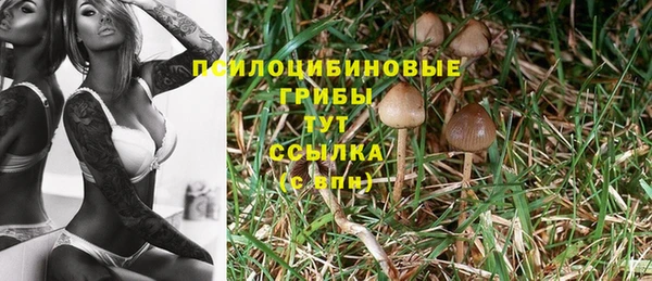 твердый Инта