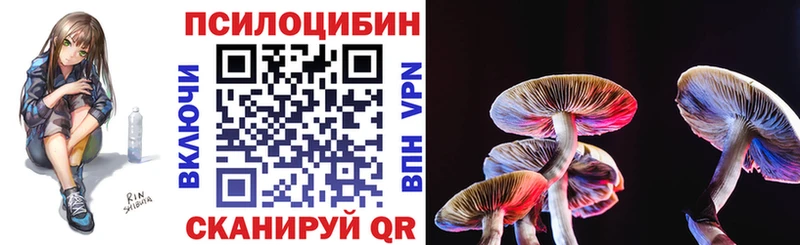 Галлюциногенные грибы Cubensis  Купить  Бодайбо 